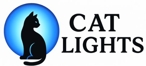 Cat Lights
